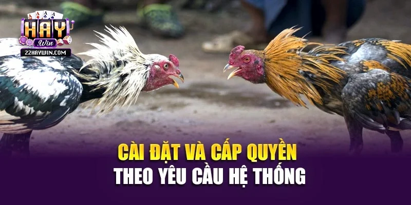 Cài đặt và cấp quyền theo yêu cầu hệ thống