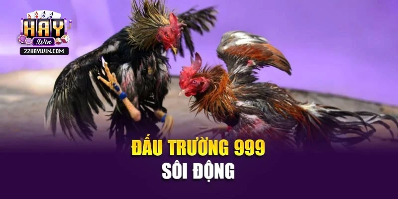 Đấu trường 999 sôi động 