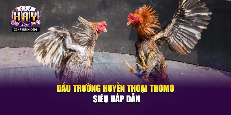 Đấu trường huyền thoại Thomo siêu hấp dẫn