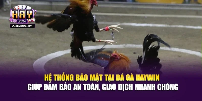 Hệ thống bảo mật tại đá gà Haywin giúp đảm bảo an toàn, giao dịch nhanh chóng