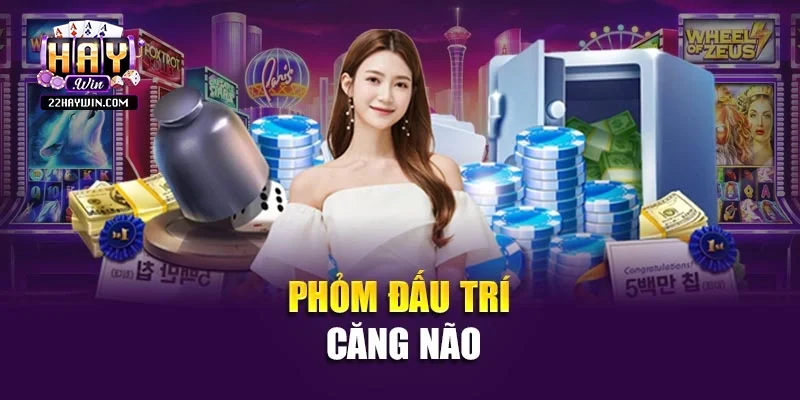 Phỏm đấu trí căng não