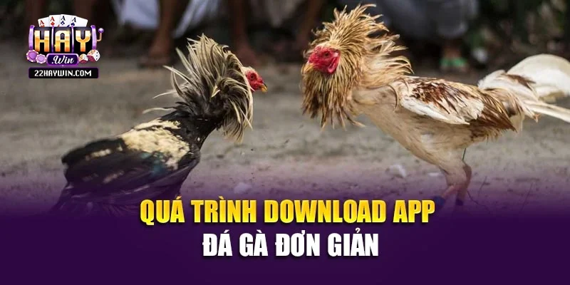 Quá trình download app đá gà đơn giản